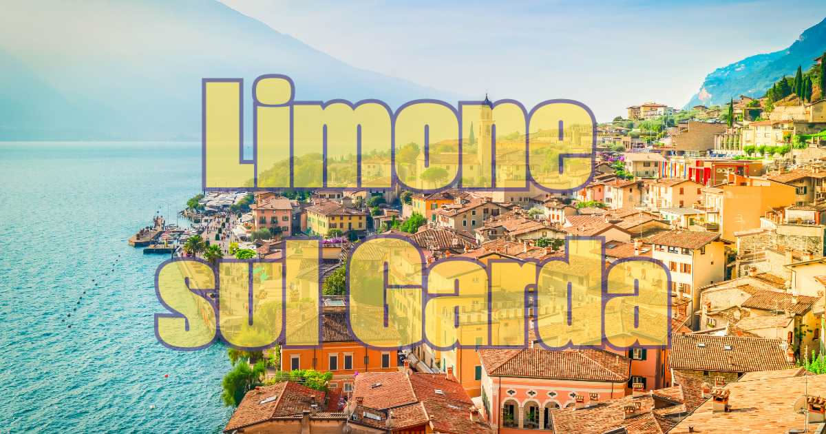 Limone in vaso a nord: quando cresce e quando no