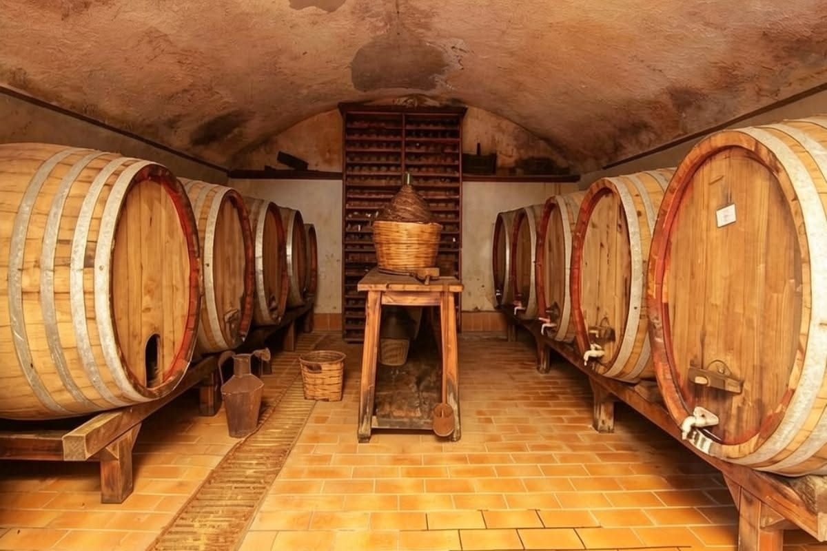 Cantine condominiali: cosa si accumula davvero negli scantinati italiani